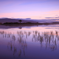 Svítání na Rannoch Moor | fotografie