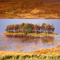 Loch Awe | fotografie